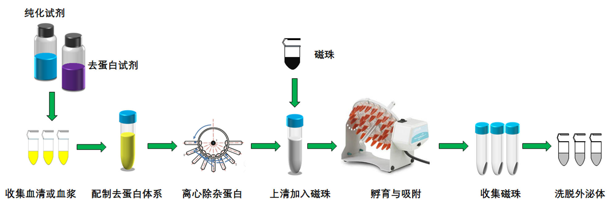 血清外泌体纯化流程副本.png